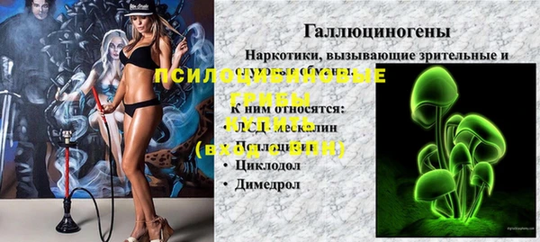 СК Балахна