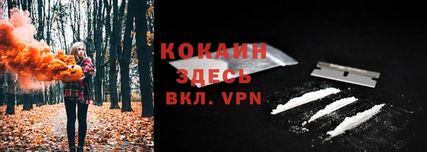 СК Балахна