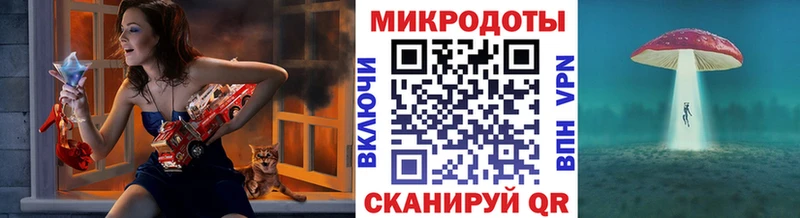 где найти   Богучар  Псилоцибиновые грибы MAGIC MUSHROOMS 